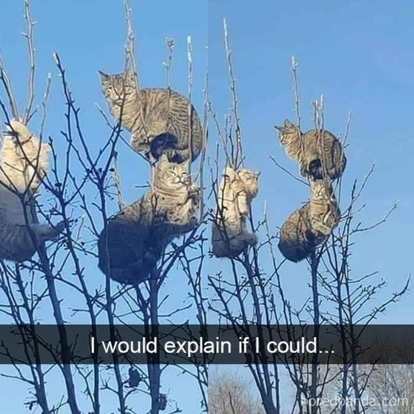 SALE STARTS NOW: 30% off all bundles , Until December 7th - Picture 9 of 9